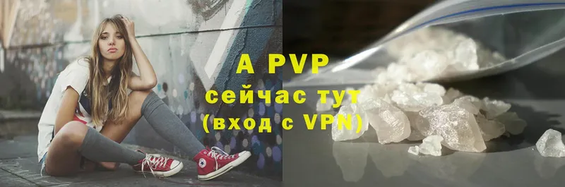 A PVP СК КРИС  Бокситогорск 